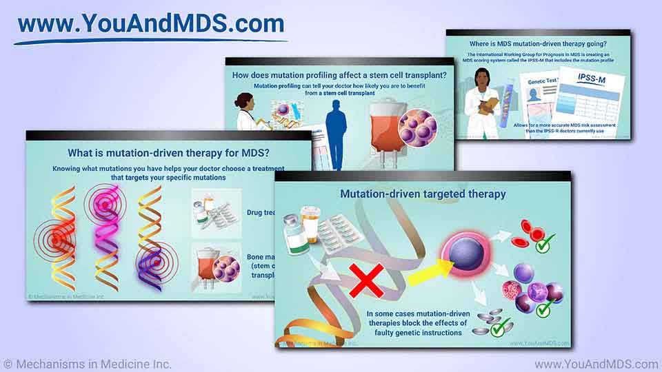 Slide Show - Mutation-Driven Therapy in MDS