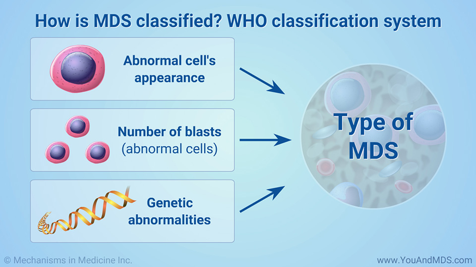 How is MDS classified? WHO classification system