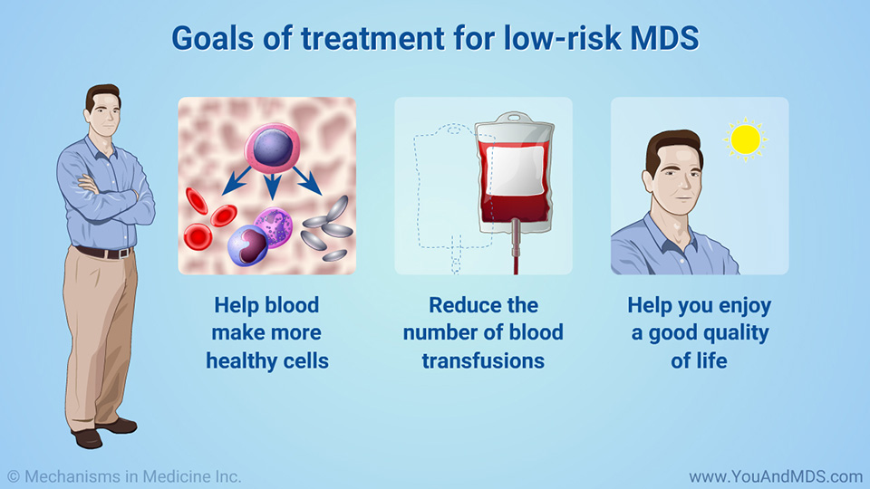 Goals of treatment for low-risk MDS