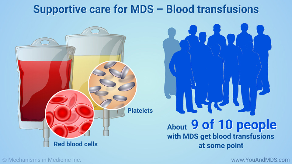 Supportive care for MDS – Blood transfusions