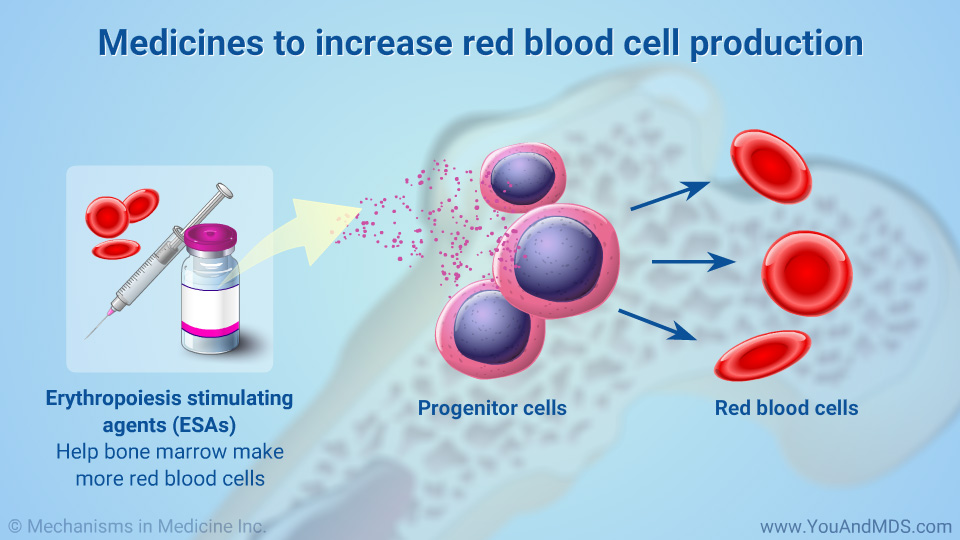 Medicines to increase red blood cell production