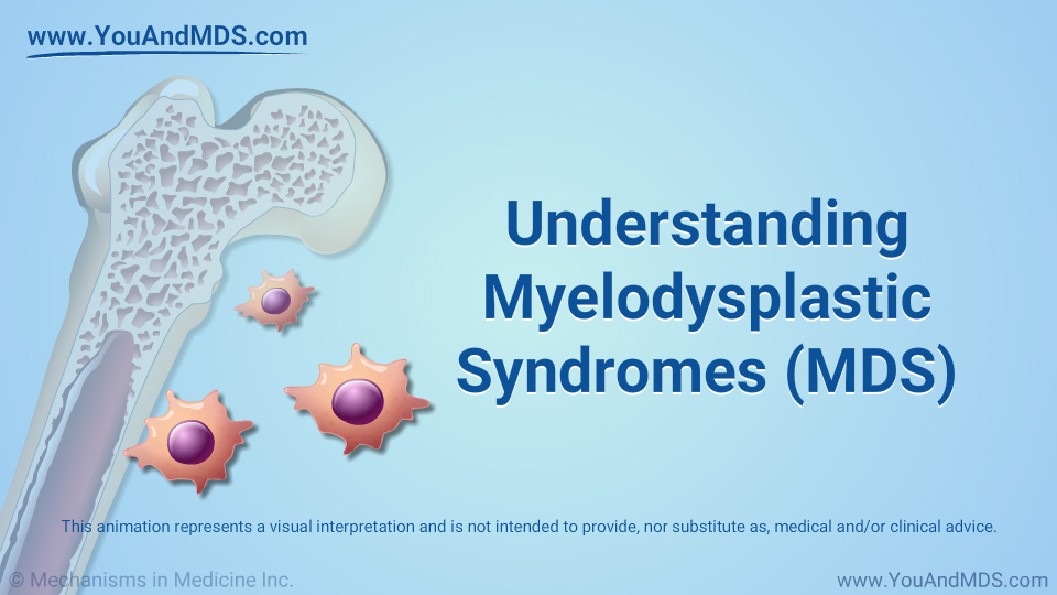 Animation - Understanding Myelodysplastic Syndromes
