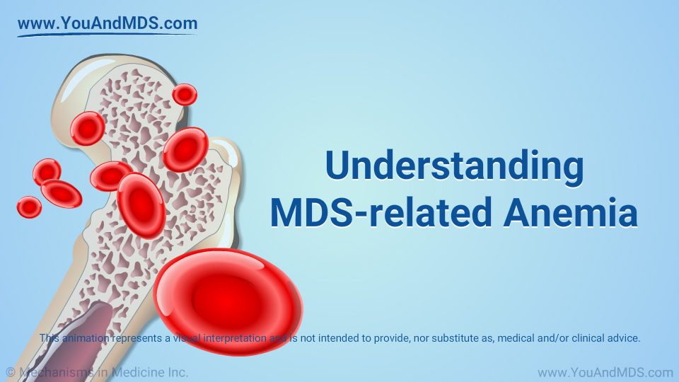 Animation - Understanding MDS-related Anemia