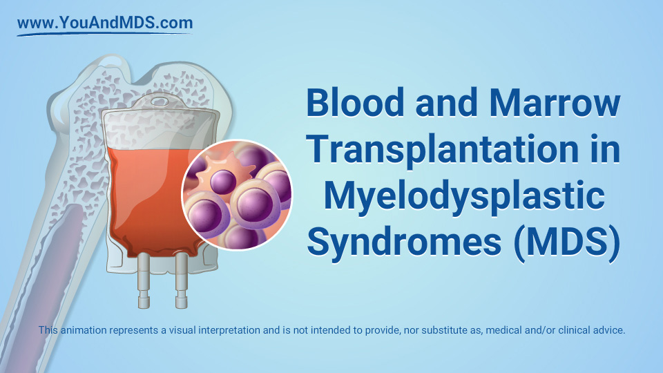 Animation - Blood and Marrow Transplantation in MDS