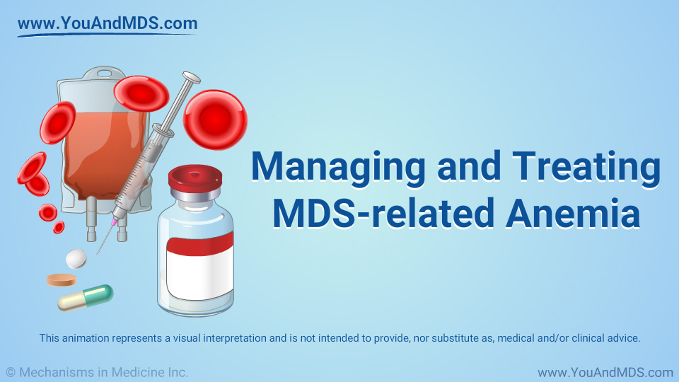 Animation - Managing and Treating MDS-related Anemia