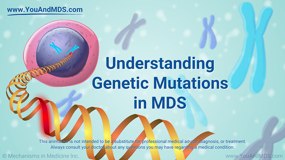Animation - Understanding Genetic Mutations in MDS