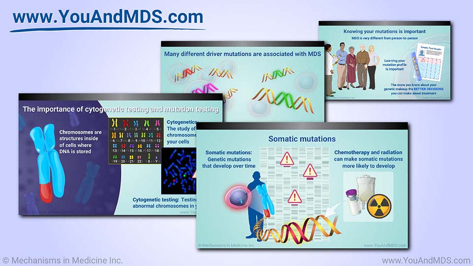 Slide Show - Understanding Genetic Mutations in MDS