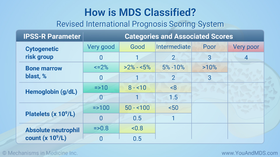 How is MDS classified? International Prognosis Scoring System