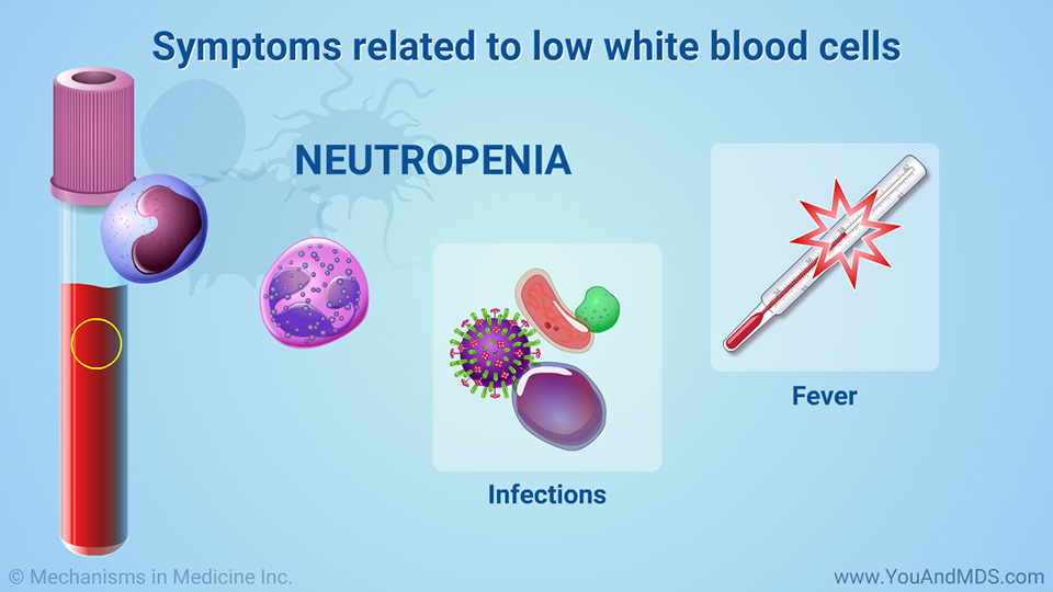 Symptoms related to low white blood cells