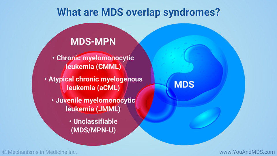 What are MDS overlap syndromes?