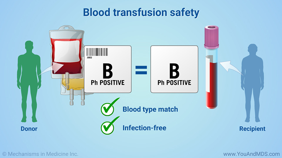 Blood transfusion safety