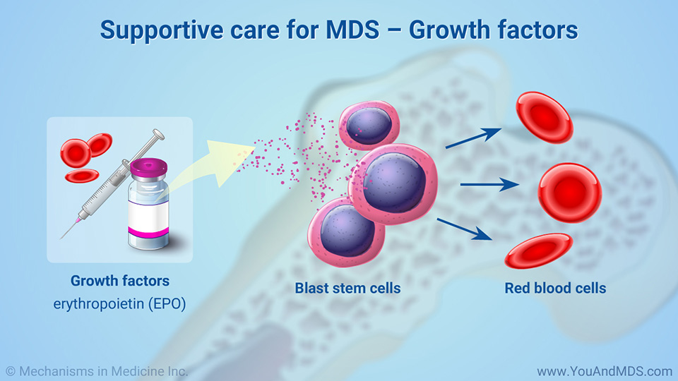 Supportive care for MDS – Growth factors