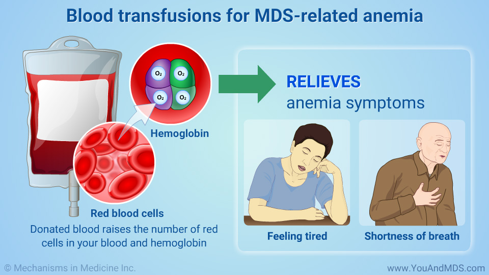 Blood transfusions for MDS-related anemia