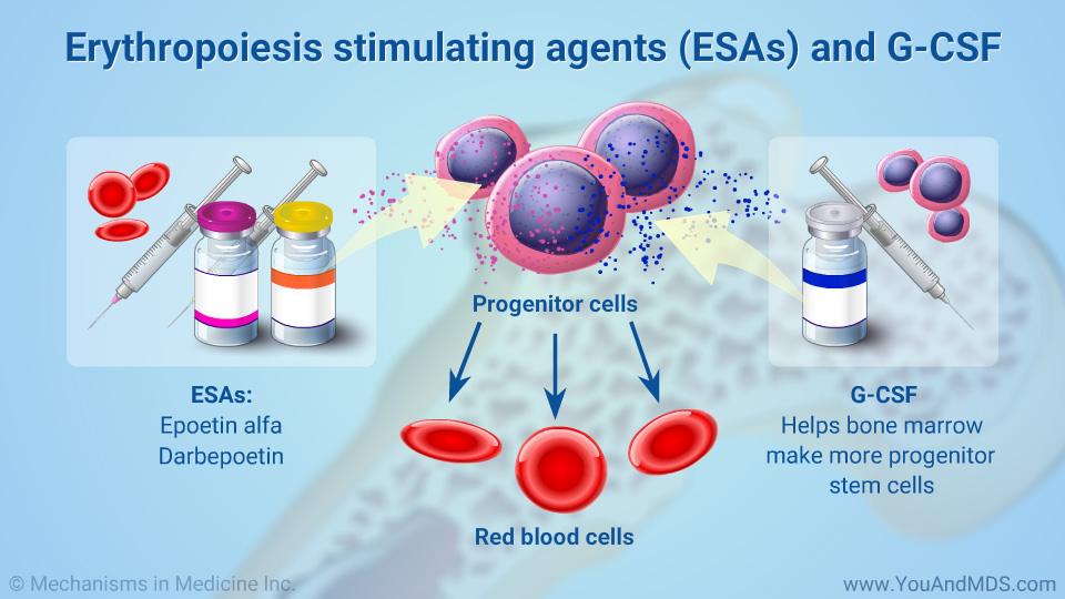 Erythropoiesis stimulating agents (ESAs) and G-CSF