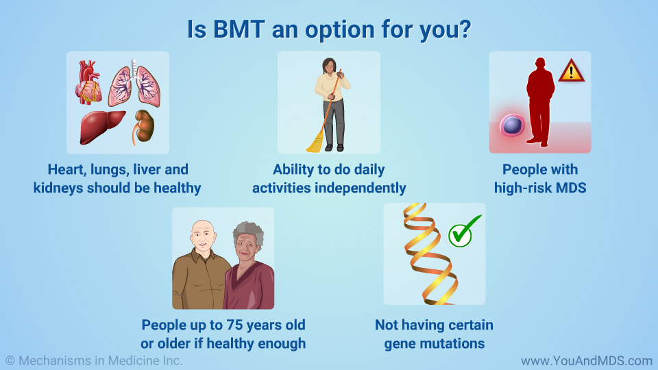 Is BMT an option for you?