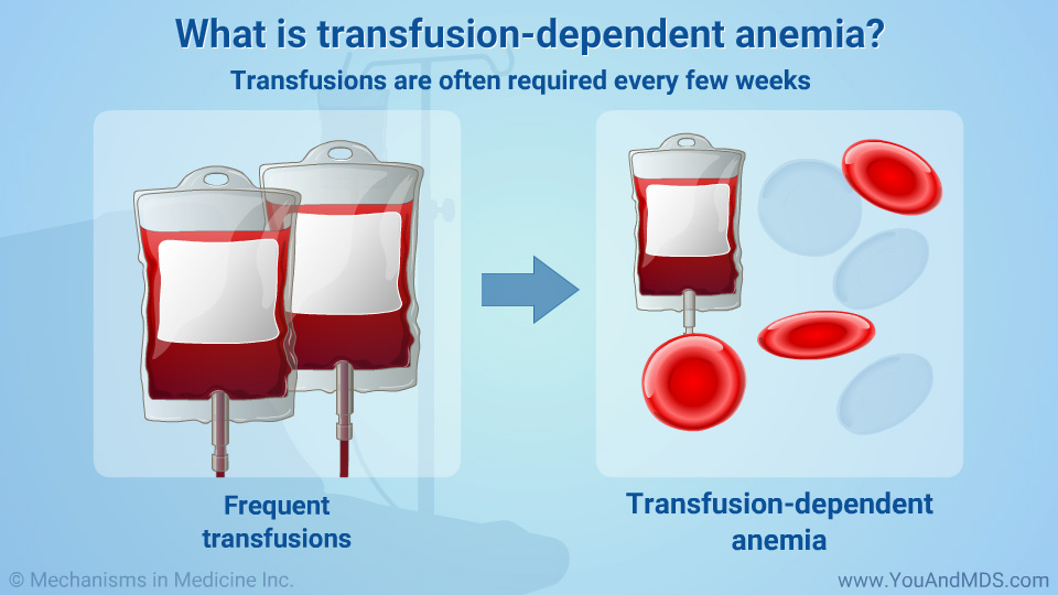 What is transfusion-dependent anemia?