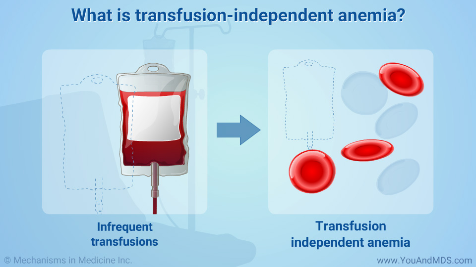 What is transfusion-independent anemia?