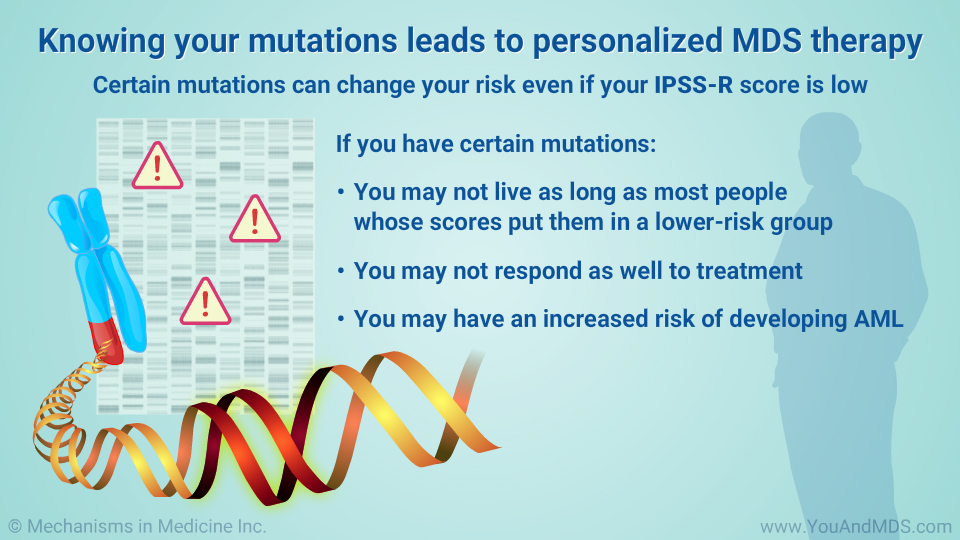 Knowing your mutations leads to personalized MDS therapy