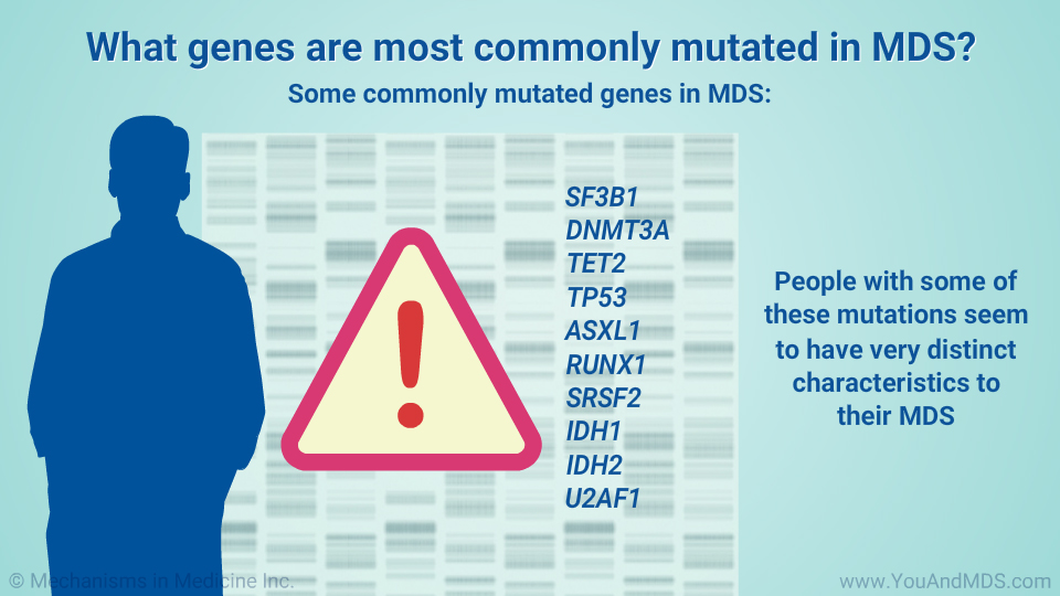What genes are most commonly mutated in MDS?