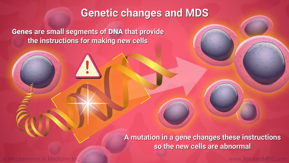Genetic changes and MDS