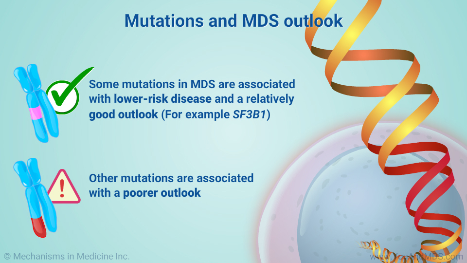 Mutations and MDS outlook