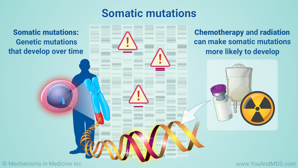 Somatic mutations