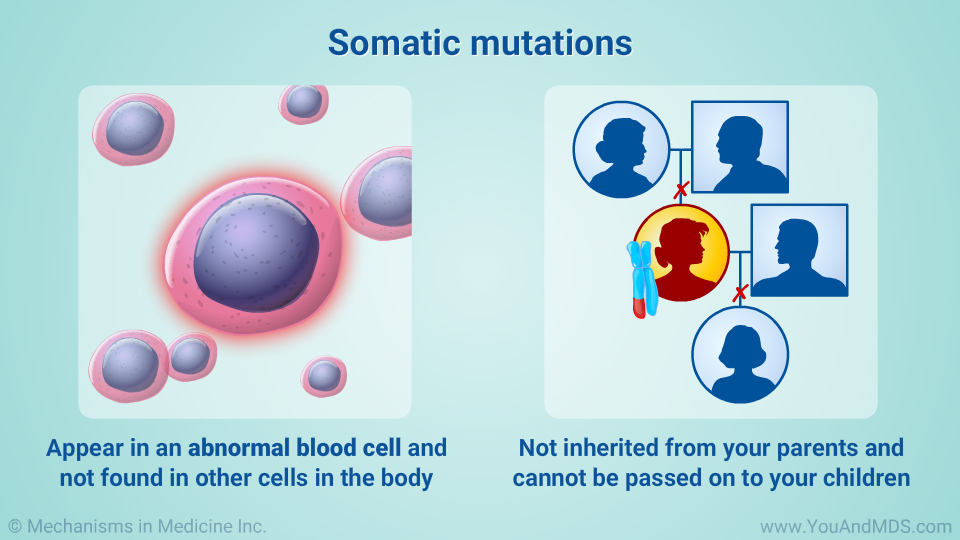 Somatic mutations