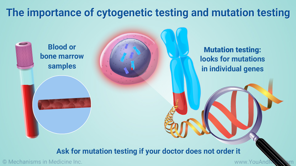 The importance of cytogenetic testing and mutation testing