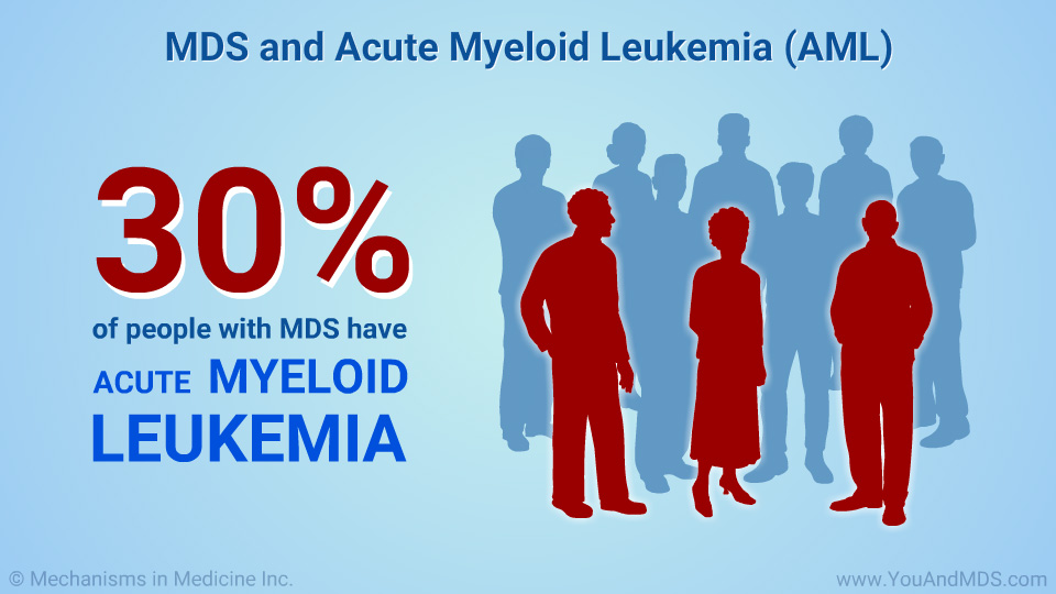 MDS and Acute Myeloid Leukemia (AML)