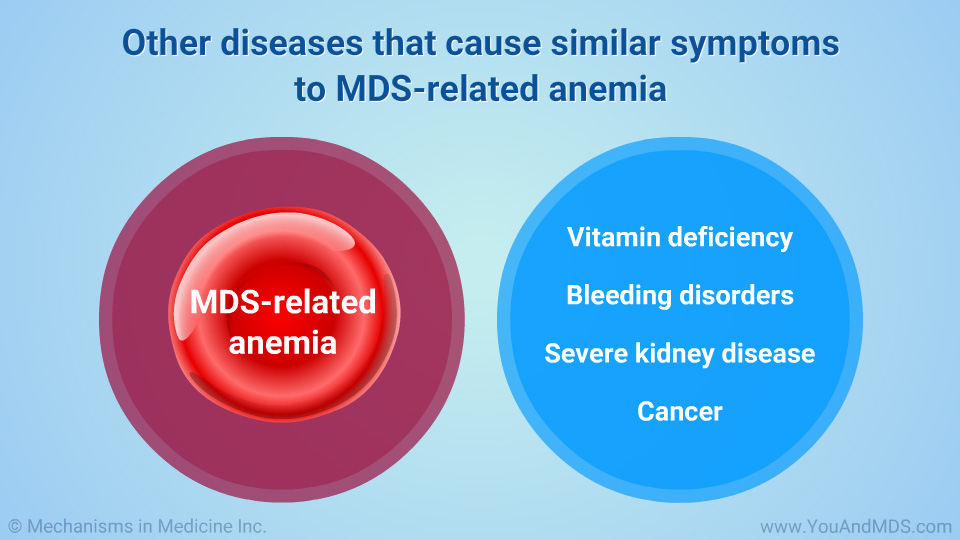 Other diseases that cause similar symptoms to MDS-related anemia