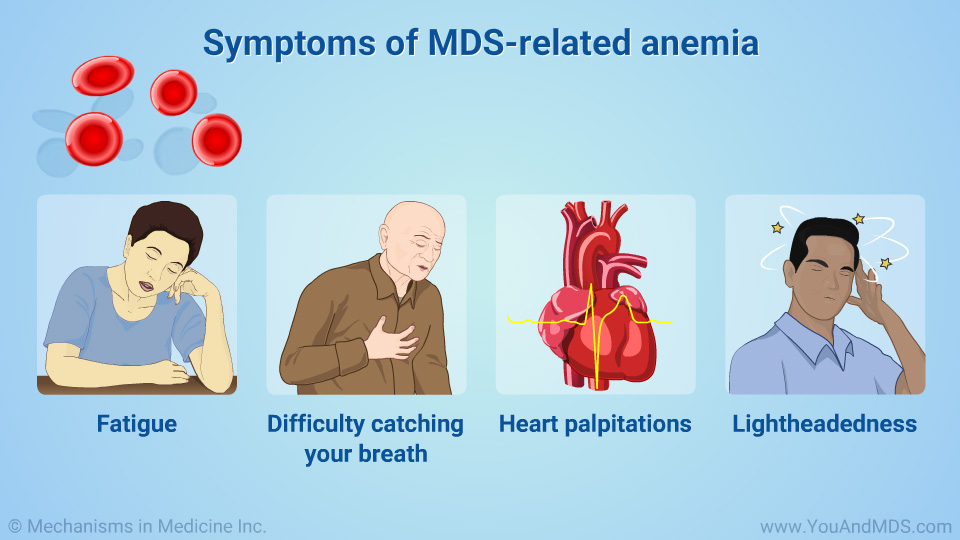 Symptoms of MDS-related anemia
