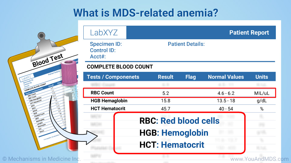 What is MDS-related anemia?