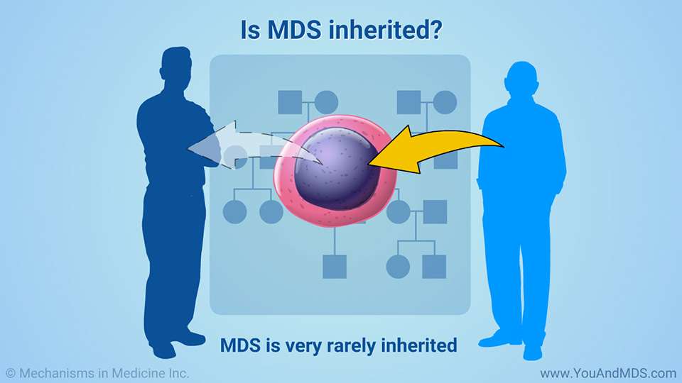 Is MDS inherited?