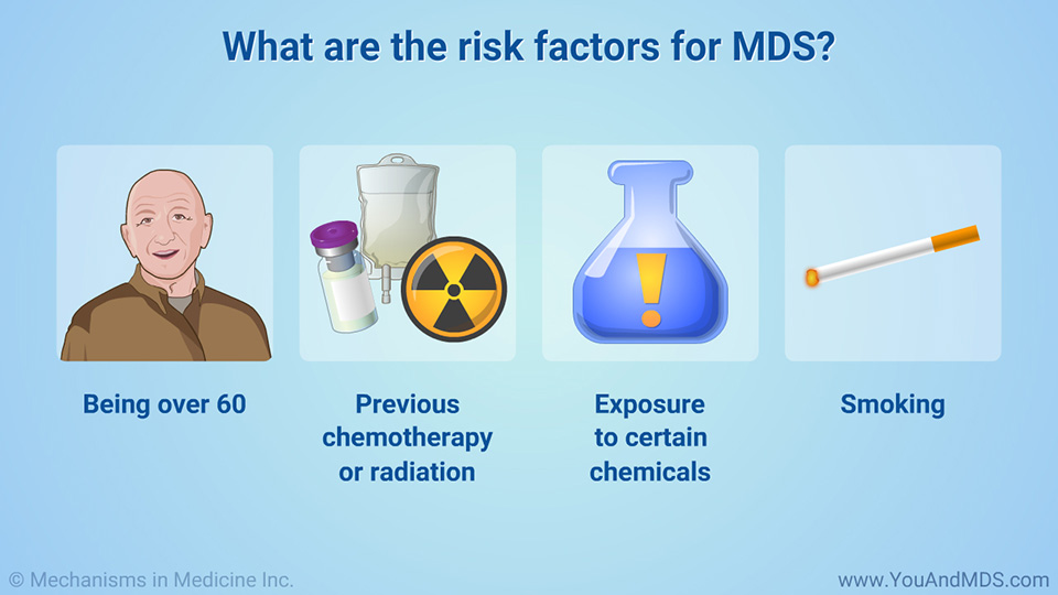 What are the risk factors for MDS?