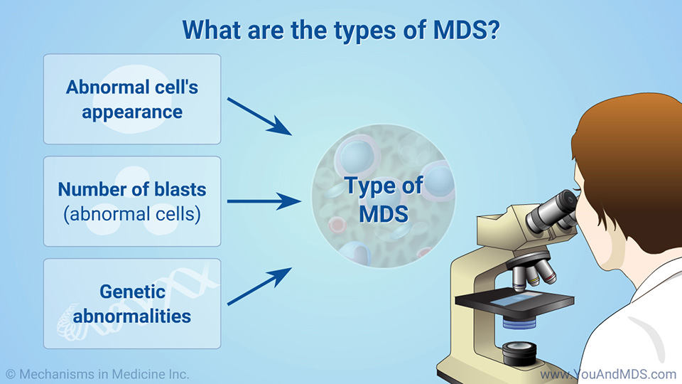 What are the types of MDS?