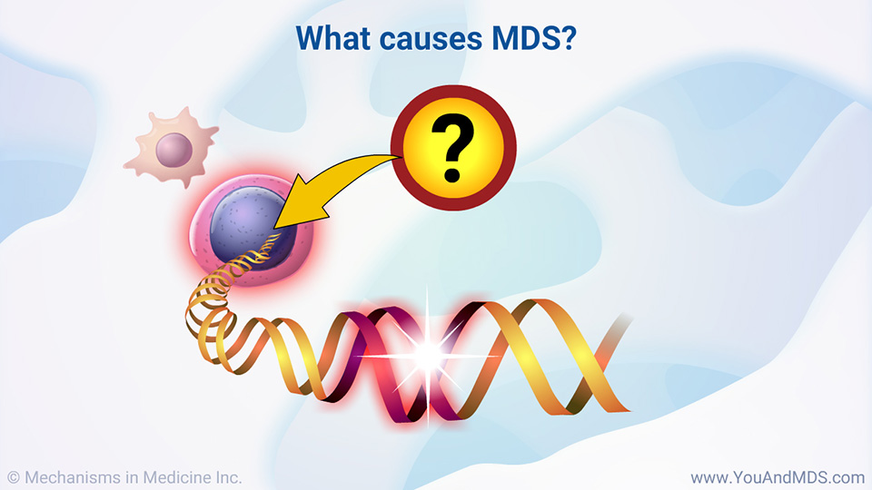 What causes MDS?