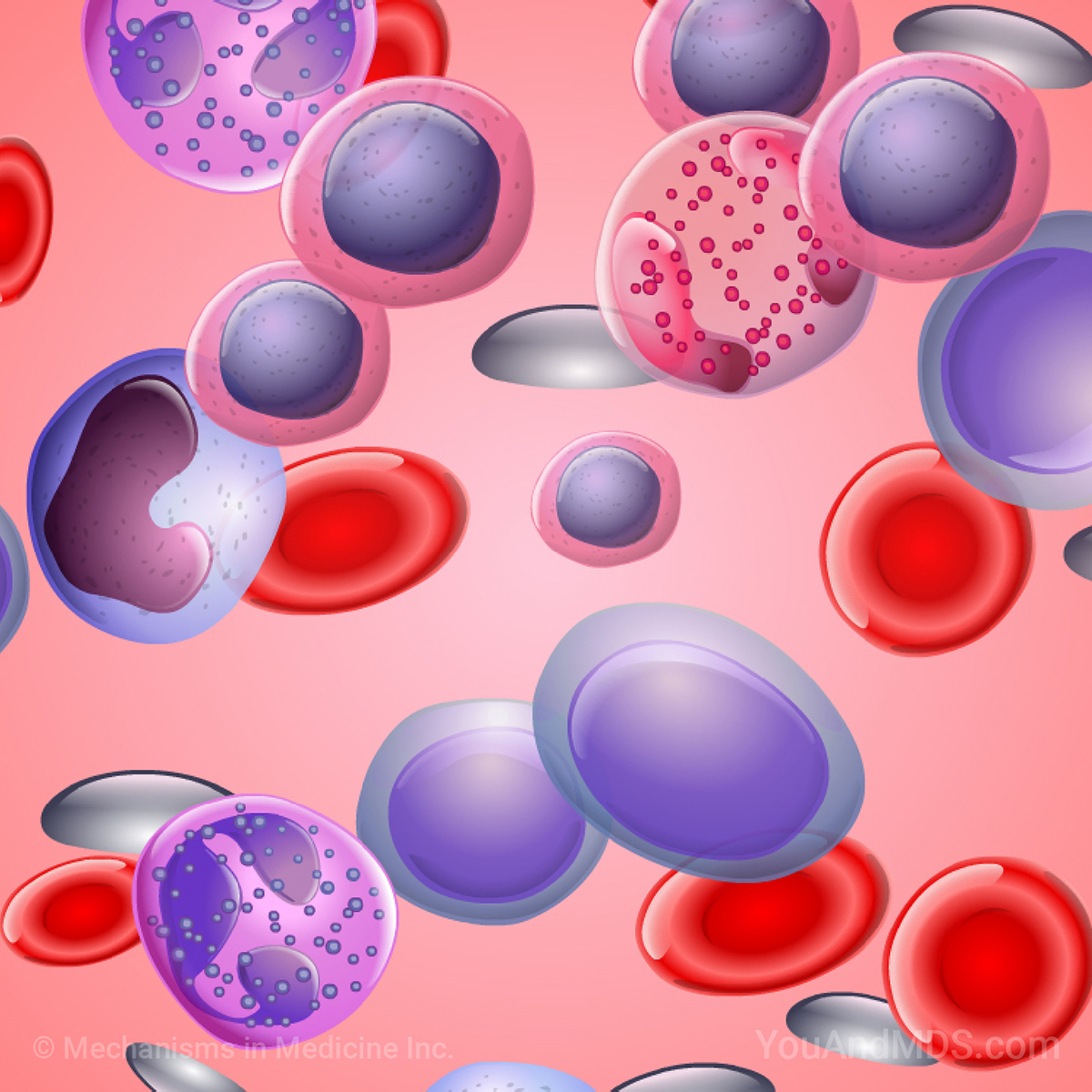 Learn about MDS-related anemia through short animations, slide shows and videos.