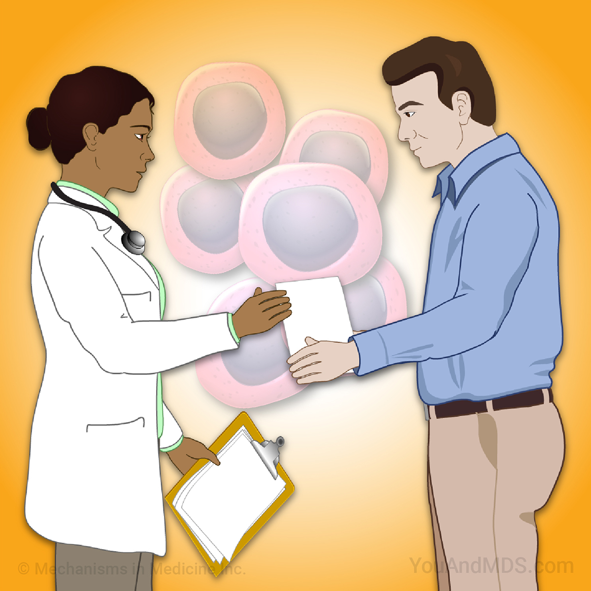 Learn about a variety of topics on Myelodysplastic Syndromes  through short animations.